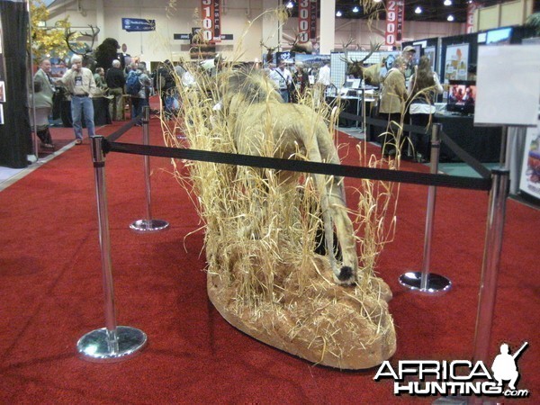 Taxidermy at Safari Club International Convention