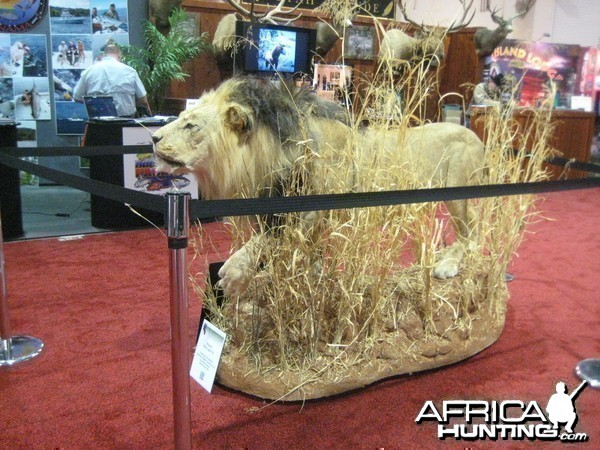 Taxidermy at Safari Club International Convention