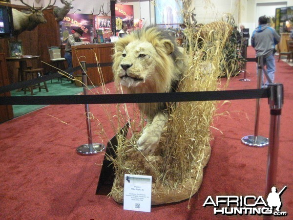 Taxidermy at Safari Club International Convention