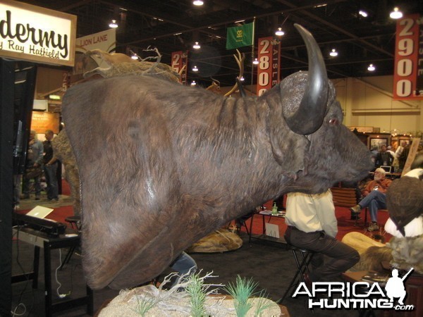 Taxidermy at Safari Club International Convention