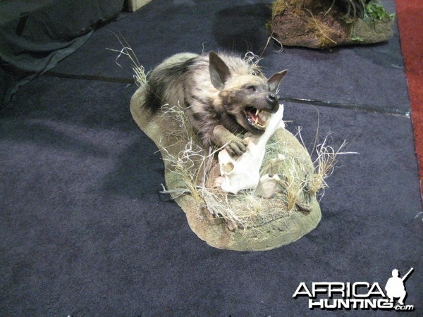 Taxidermy at Safari Club International Convention