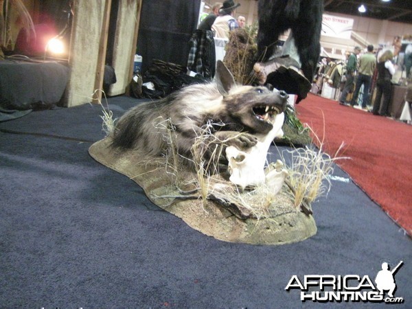 Taxidermy at Safari Club International Convention