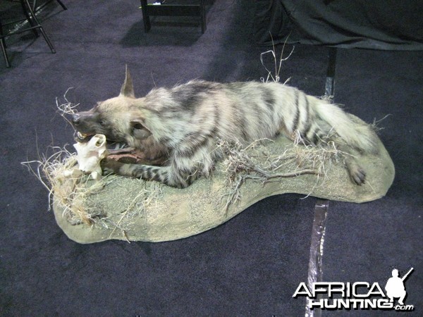 Taxidermy at Safari Club International Convention