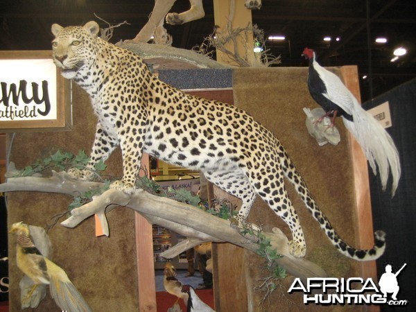 Taxidermy at Safari Club International Convention