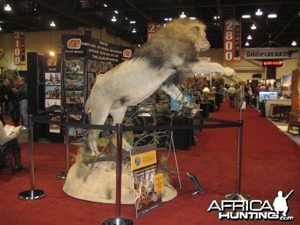 Taxidermy at Safari Club International Convention