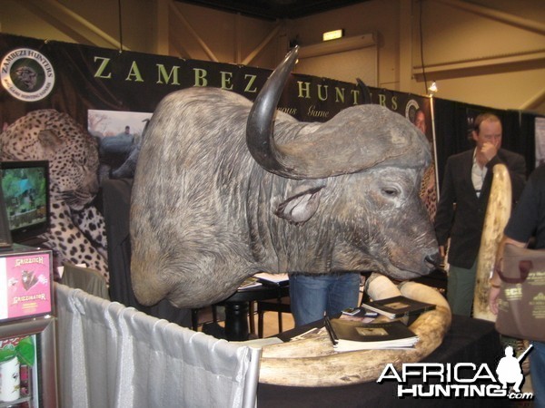 Taxidermy at Safari Club International Convention