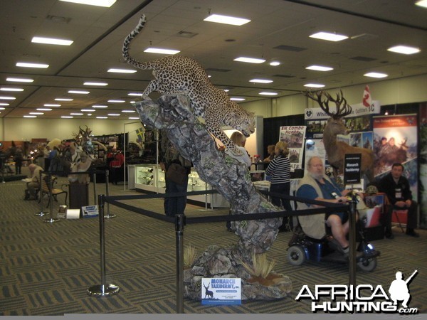 Taxidermy at Safari Club International Convention