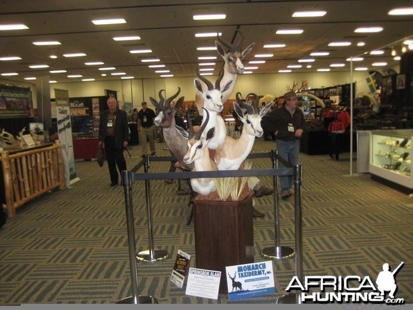 Taxidermy at Safari Club International Convention