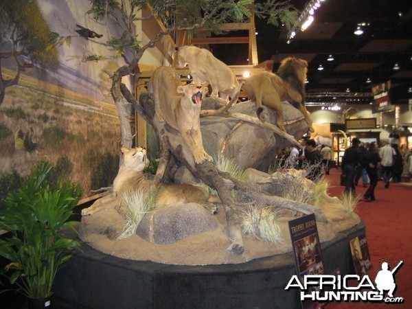 Taxidermy at Safari Club International Convention