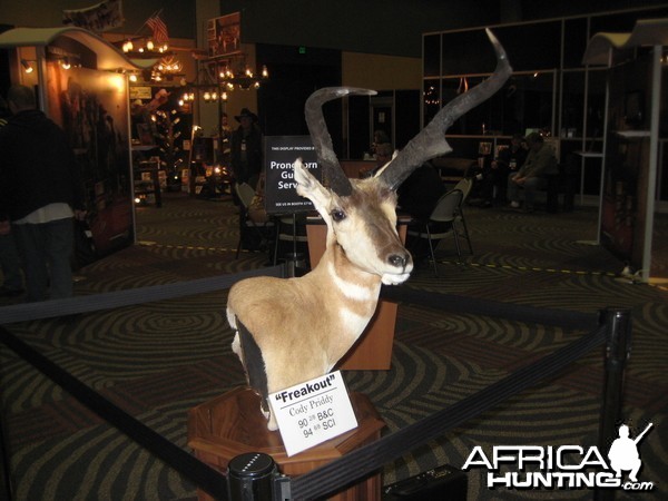 Taxidermy at Safari Club International Convention