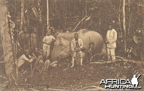 Hunting Elephant Indonesia