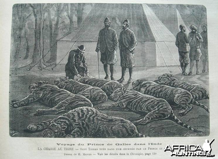 Hunting Tiger India 1876