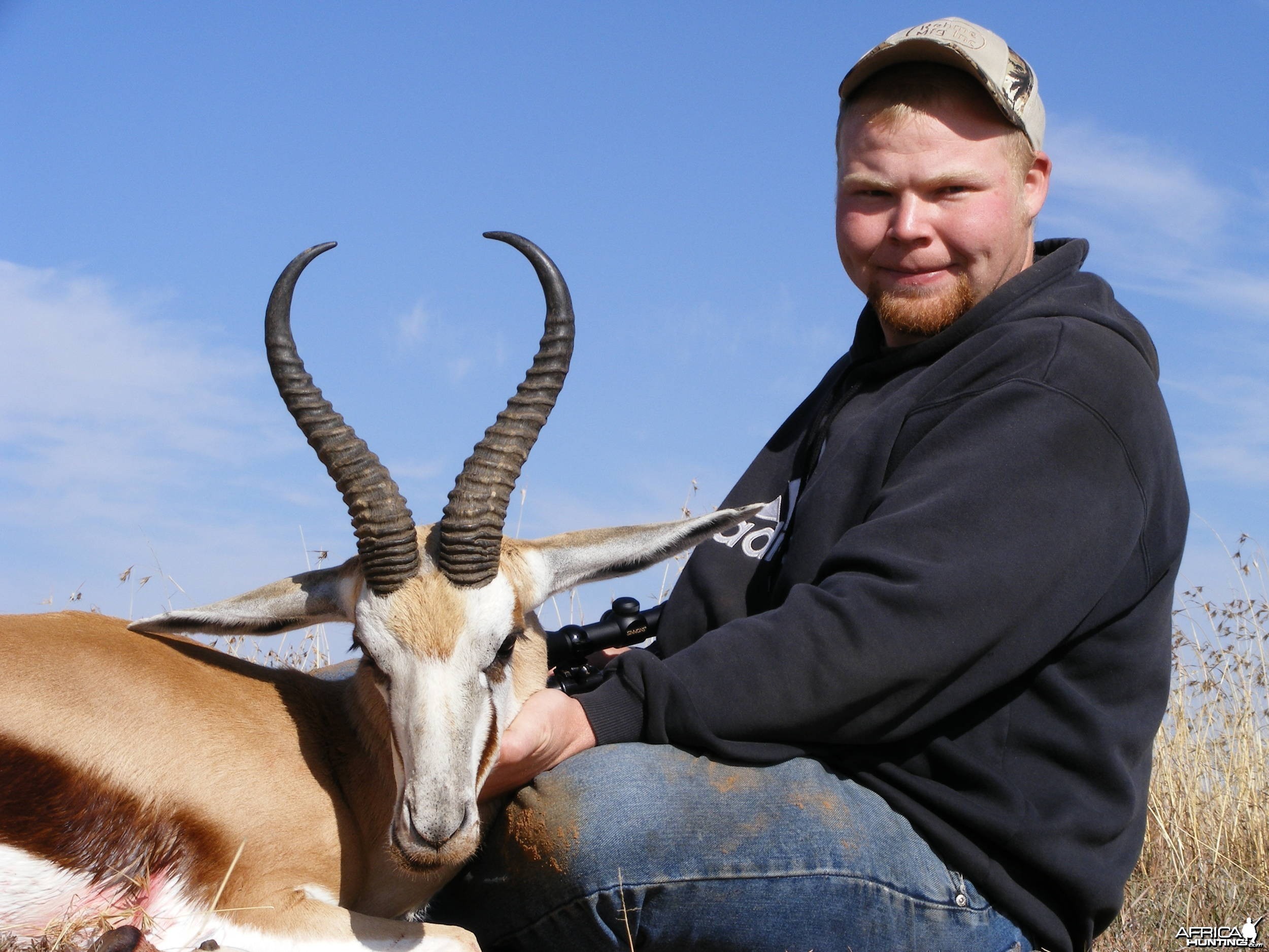 Springbok