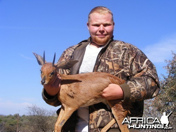 Steenbok