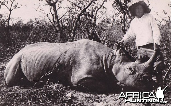 Hunting Black Rhino