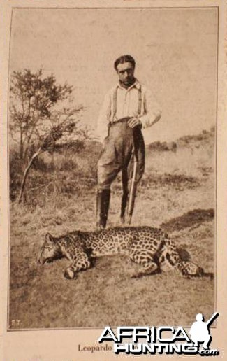 Hunting Leopard