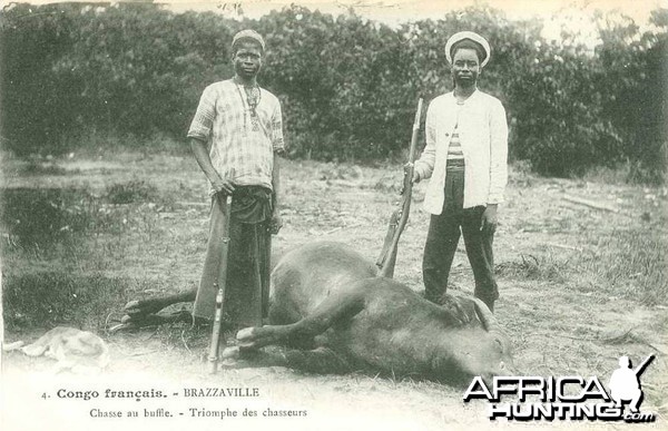 Hunting Buffalo Congo