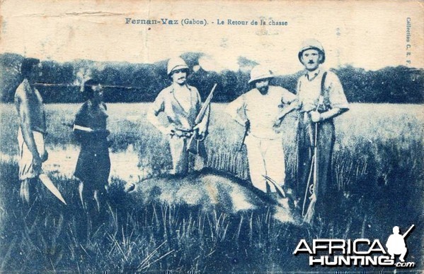 Hunting Gabon