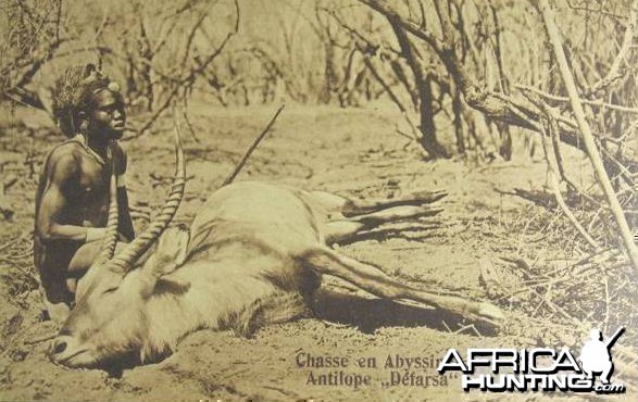 Hunting Waterbuck