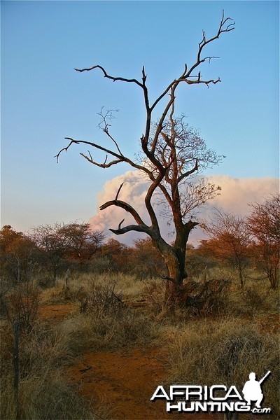 Otavi Mountains Burn