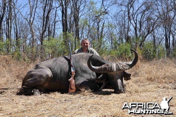 Big old Dagga-boy hunted in the Gwayi, Zimbabwe