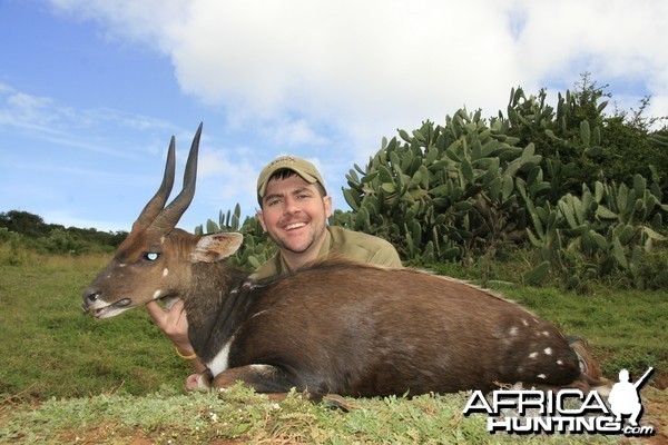 Bushbuck