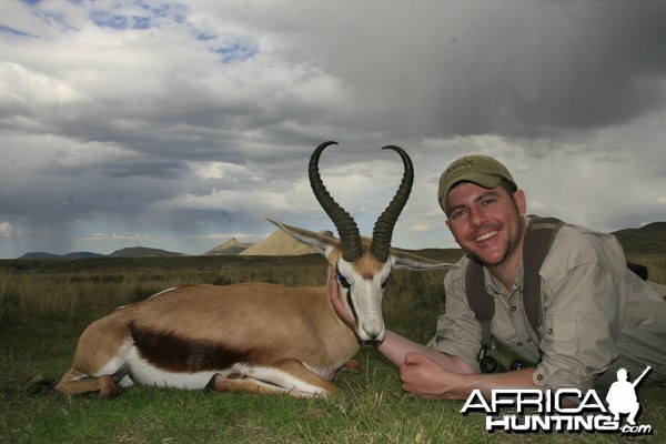 Springbok