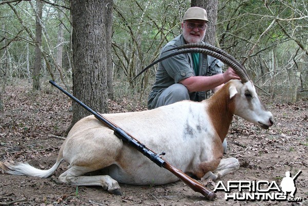 SimmSamm's Scimitar Horned Oryx