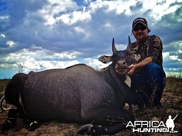 Happy Client with Nilgai