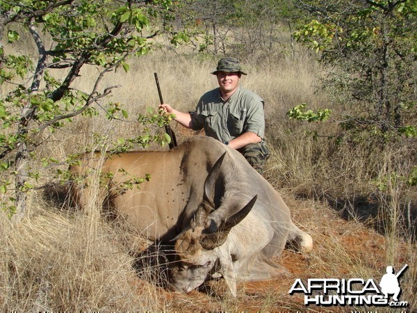 Eland Bull