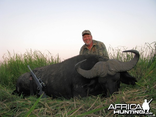 Mozambique Buffalo