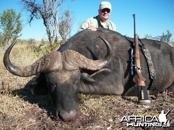 Buffalo hunted with Farren Safaris in Zimbabwe