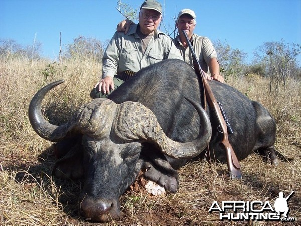 Buffalo hunted with Farren Safaris in Zimbabwe