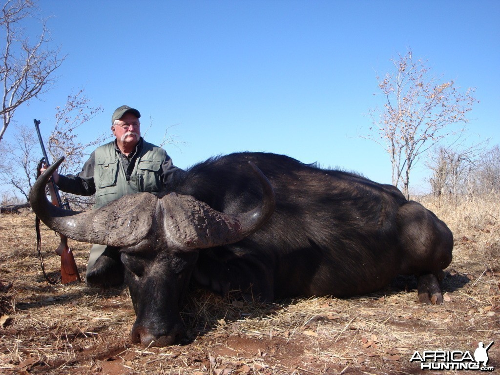 Buffalo hunted with Farren Safaris in Zimbabwe