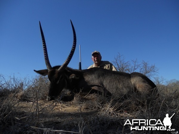 Waterbuck