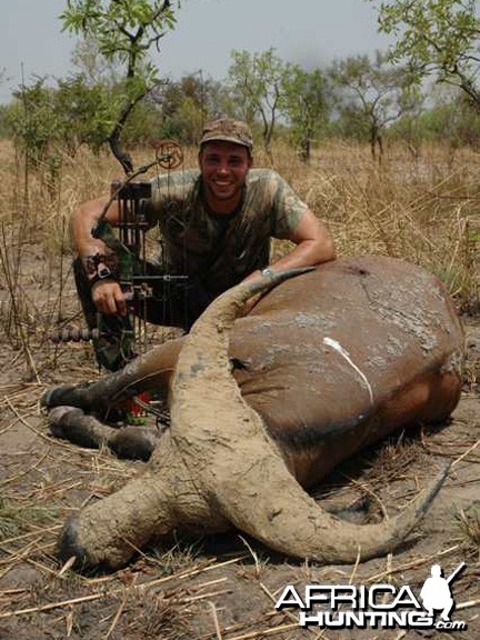 Bowhunting West African Savanna Buffalo