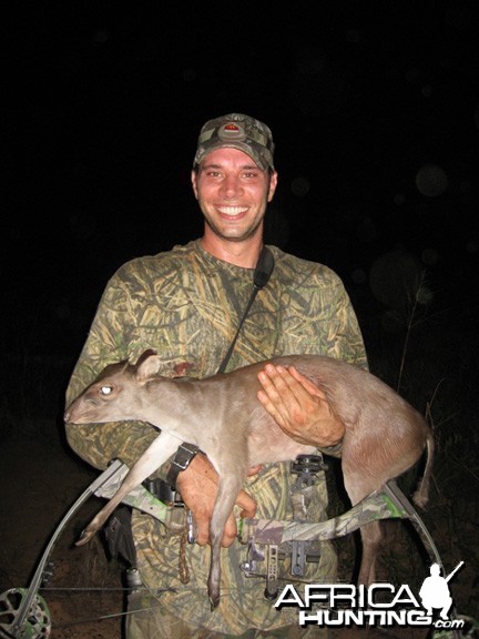 Maxwell's Duiker Bowhunting