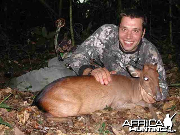 Peter's Duiker Bowhunting