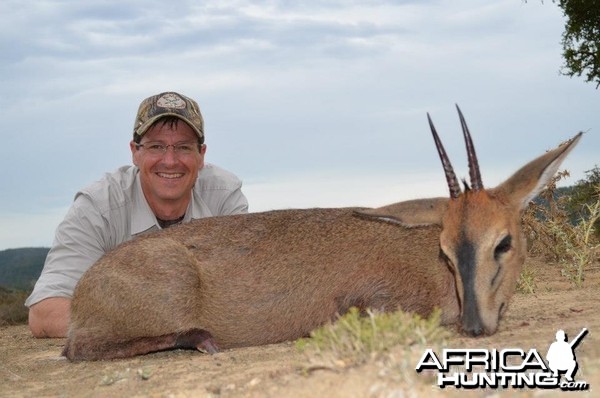 2013 Grey Duiker