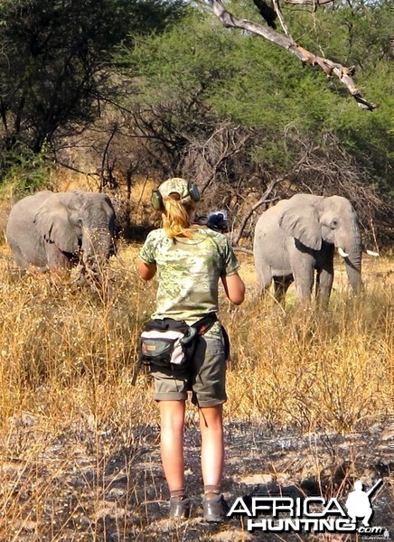 Elephant hunting in Caprivi