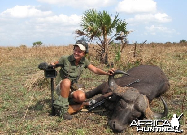 Buffalo in Mozambique