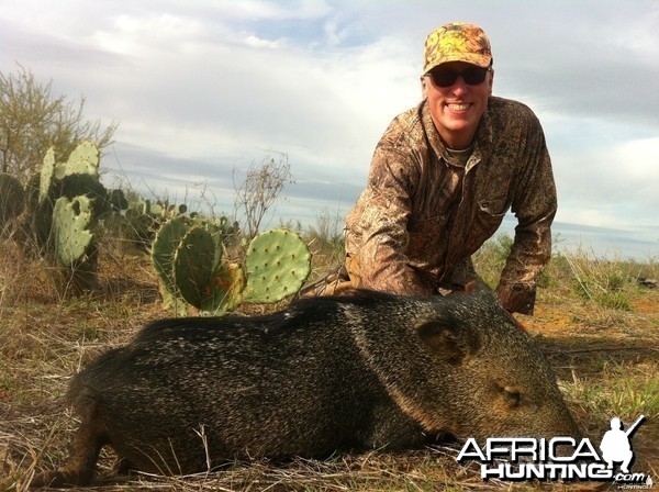 Stink Pig in Texas