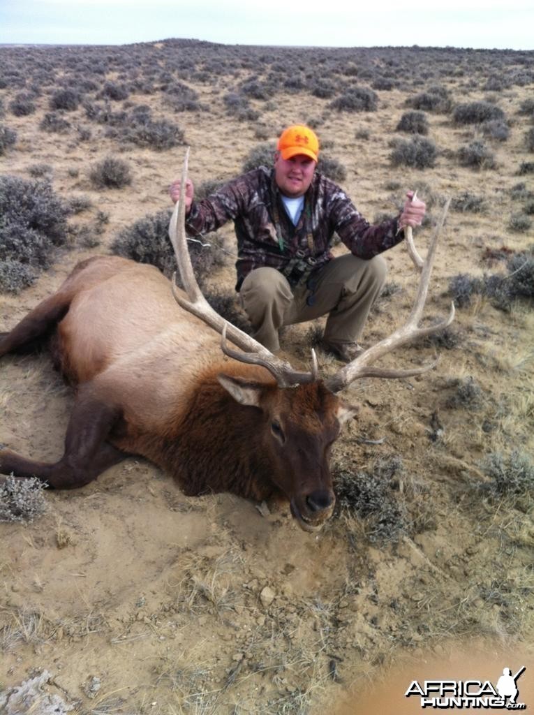 Elk