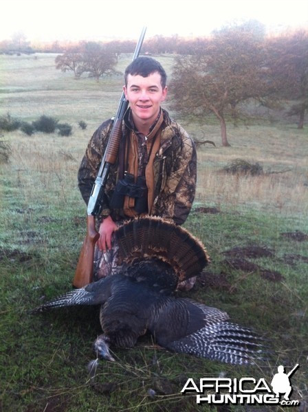 Hunting Turkey