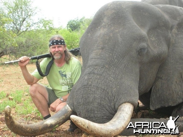 Elephant Sengwe 1 Big Game Area Zimbabwe
