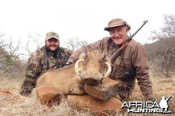 Warthog Sow Hunting