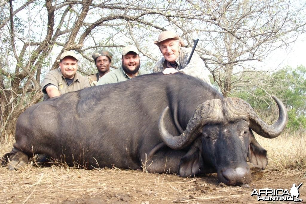Cape Buffalo Hunting