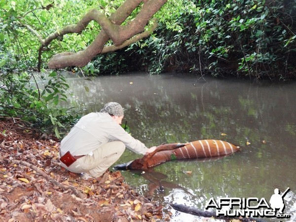 Found this Bongo dead floating in the river....