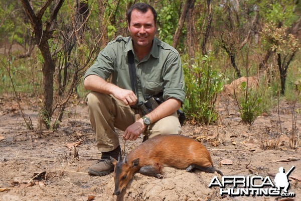 Red-Flanked Duiker