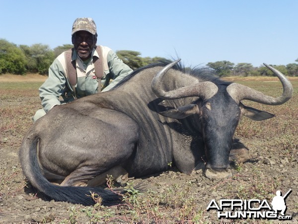 Blue Wildebeest hunted with Ozondjahe Hunting Safaris in Namibia